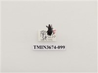 藏品(象鼻蟲(2))的圖片